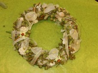 /album/galerie-photos/bizutage-09-116-jpg/